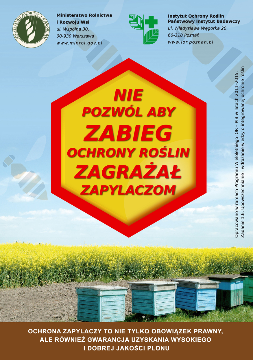 pszczoły
