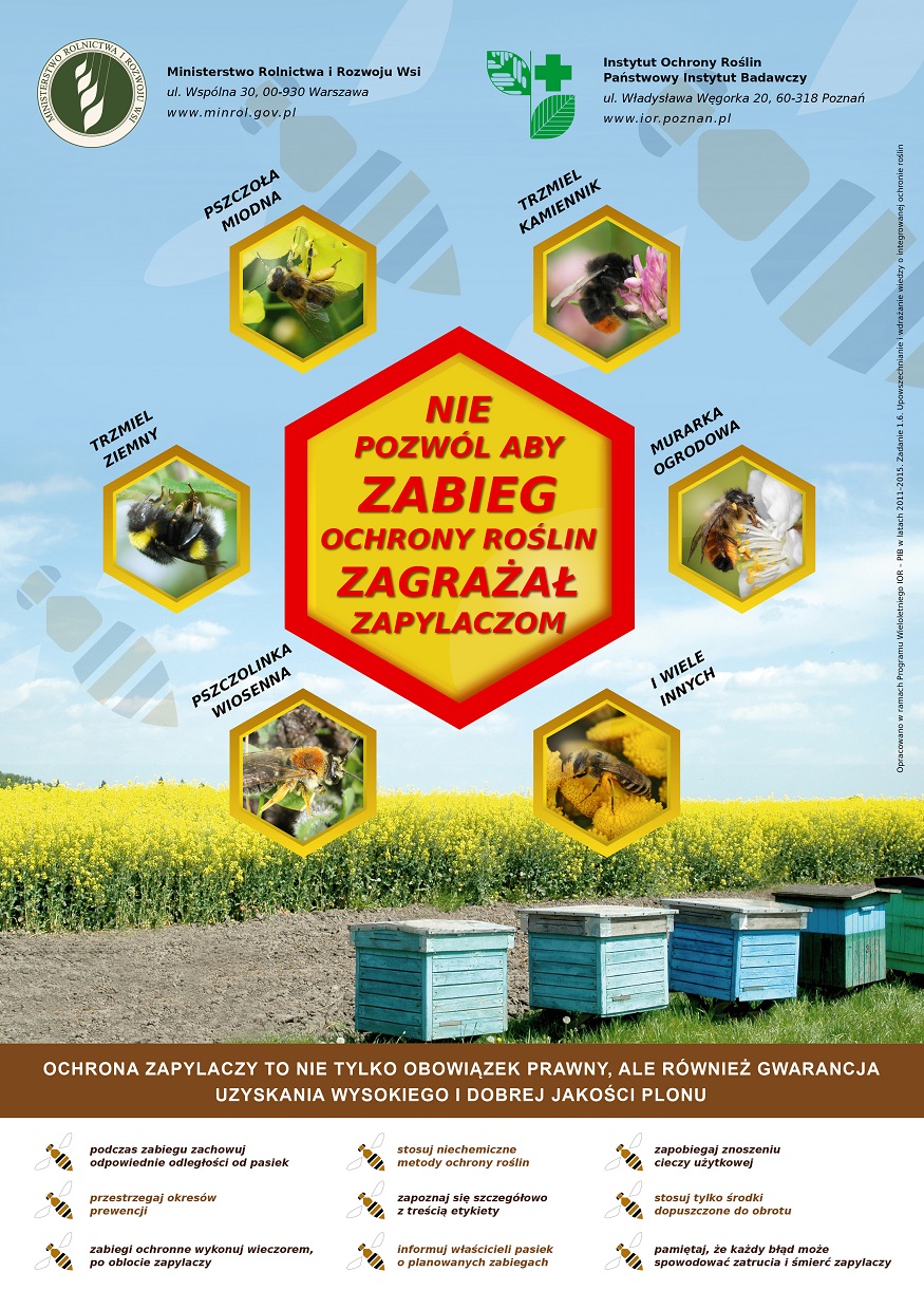 plakat