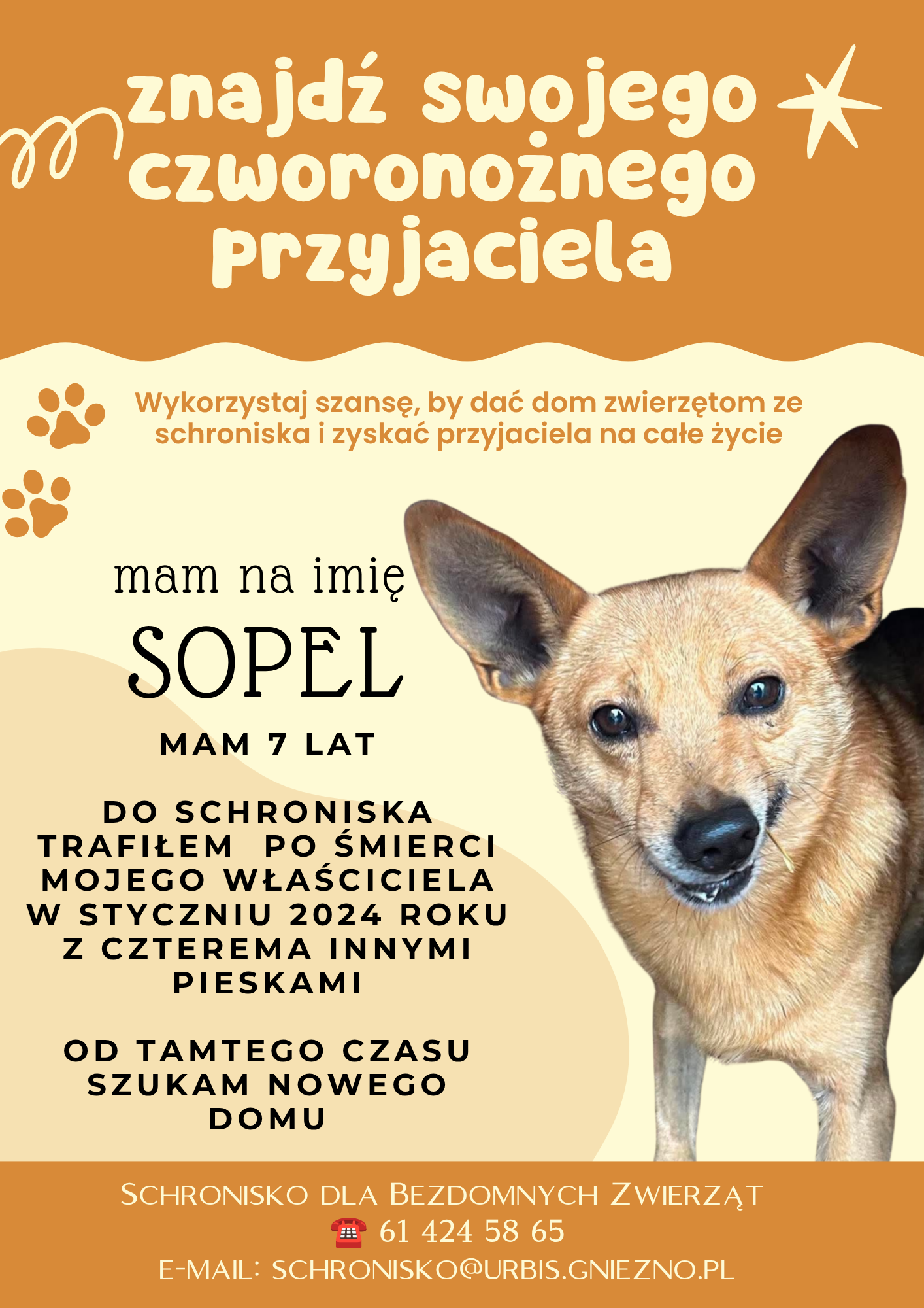 sopel