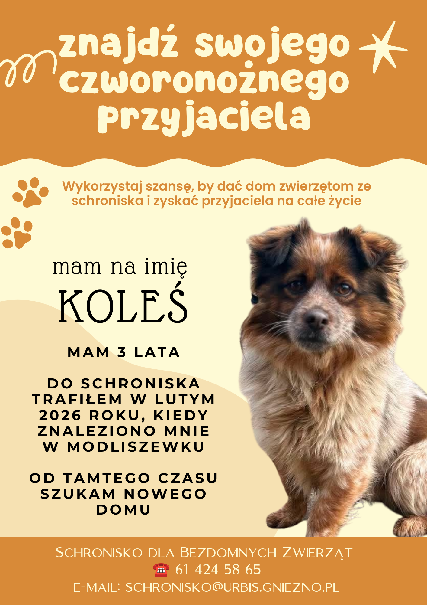 koleś
