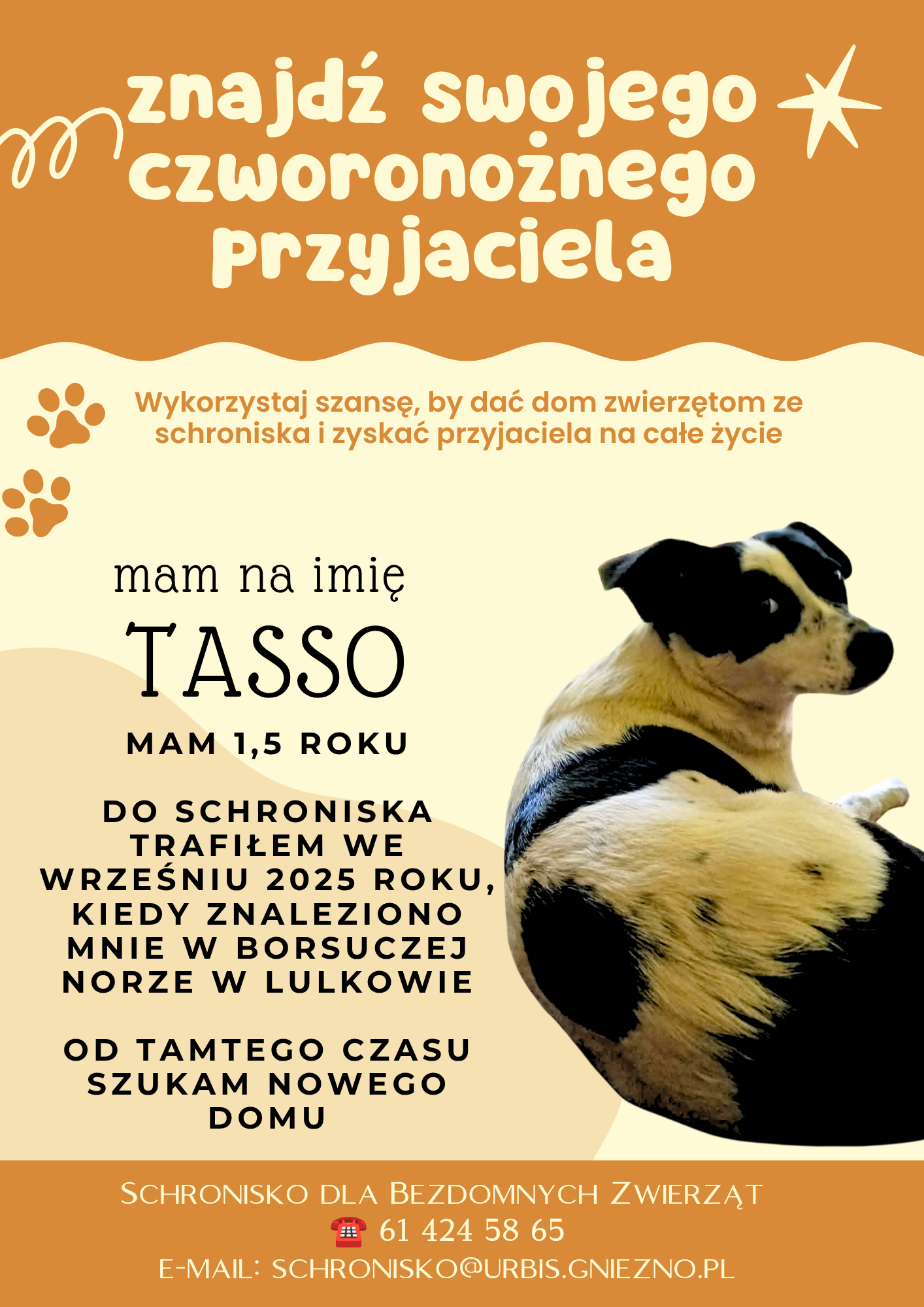 tasso